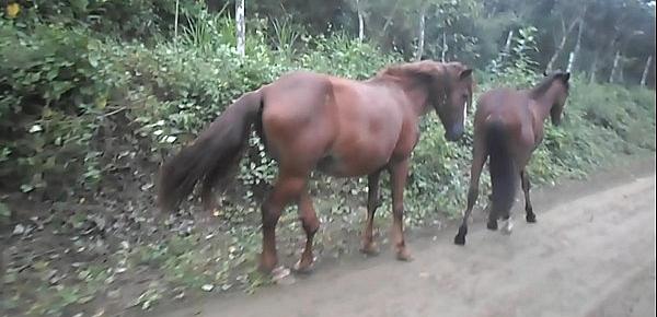  HEATHERDEEP.COM Thai Teen Peru to Ecuador horse cock to creampie